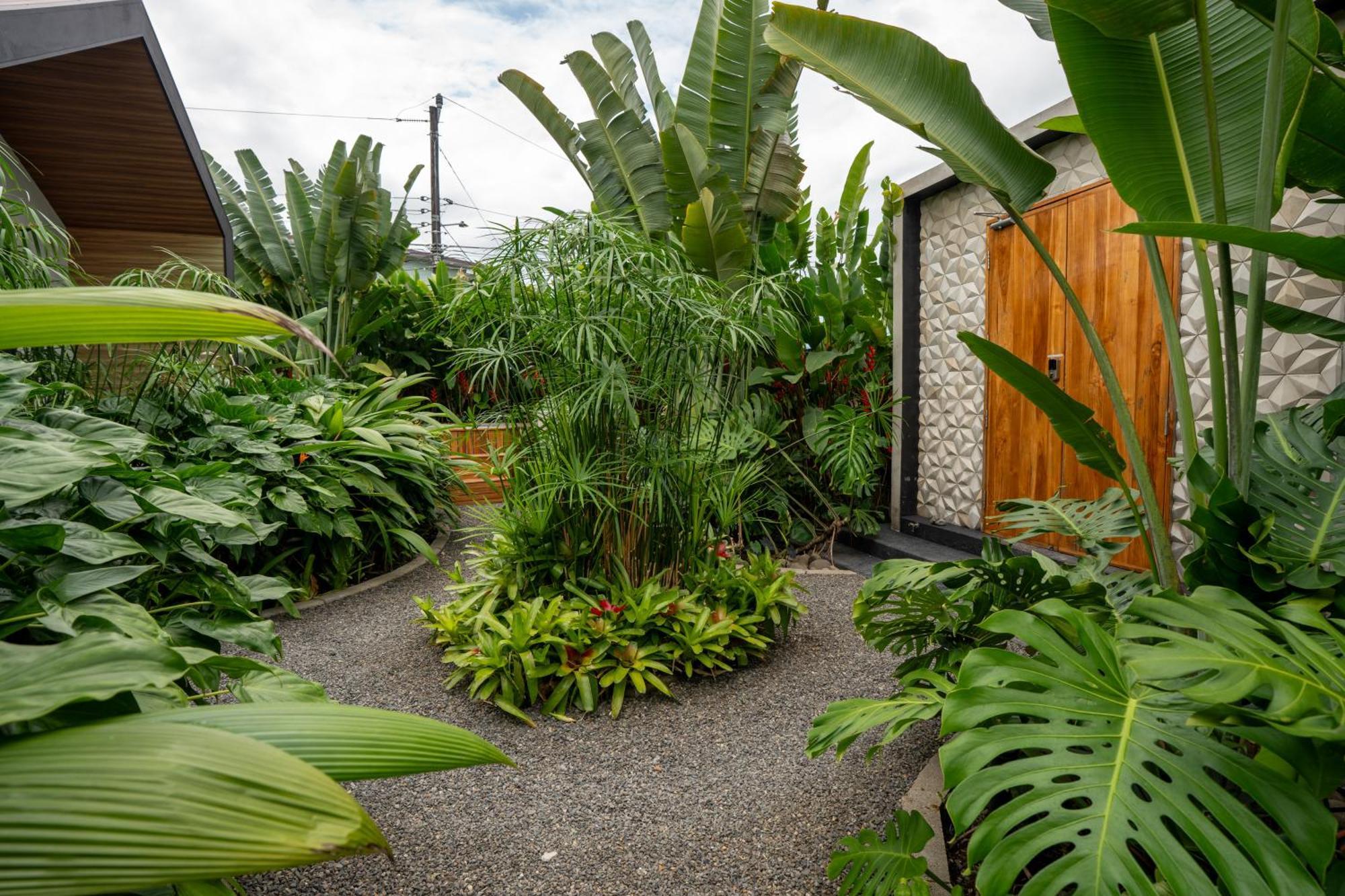 Suwa Villa Arenal La Fortuna Екстер'єр фото