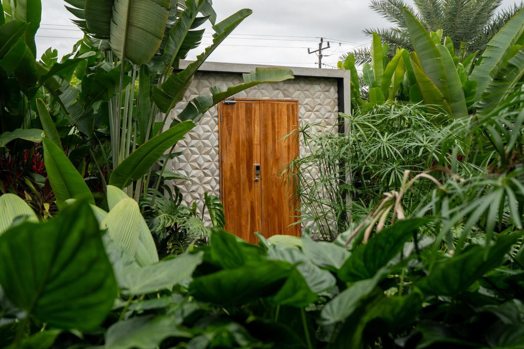 Suwa Villa Arenal La Fortuna Екстер'єр фото
