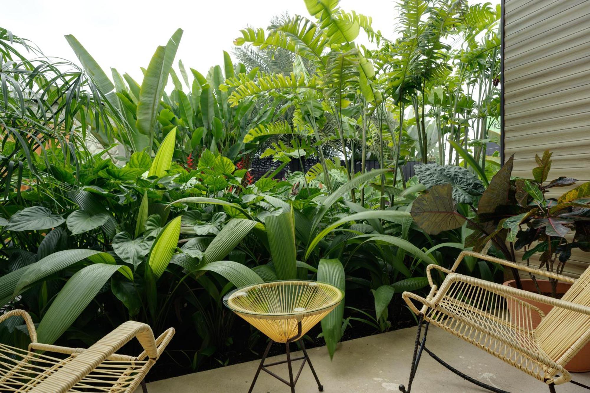 Suwa Villa Arenal La Fortuna Екстер'єр фото